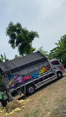 melon 🍈🍈 reseng 🔥 #anugrahjuniorreborn#melonbalap🍈🤙#fyppppppppppppppppppppppp 