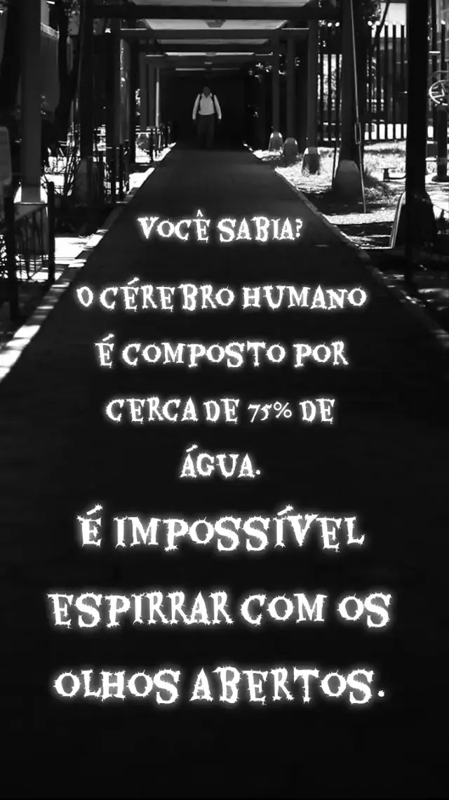 🔹Curiosidades🔹 #Love #silencio #dark #vocesabia #curiosidades 