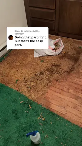 Replying to @bdkennedy70 