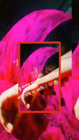 কিছু বলার ভাষা খুজে পাইতেছি না আমি😭😭😭😭😭