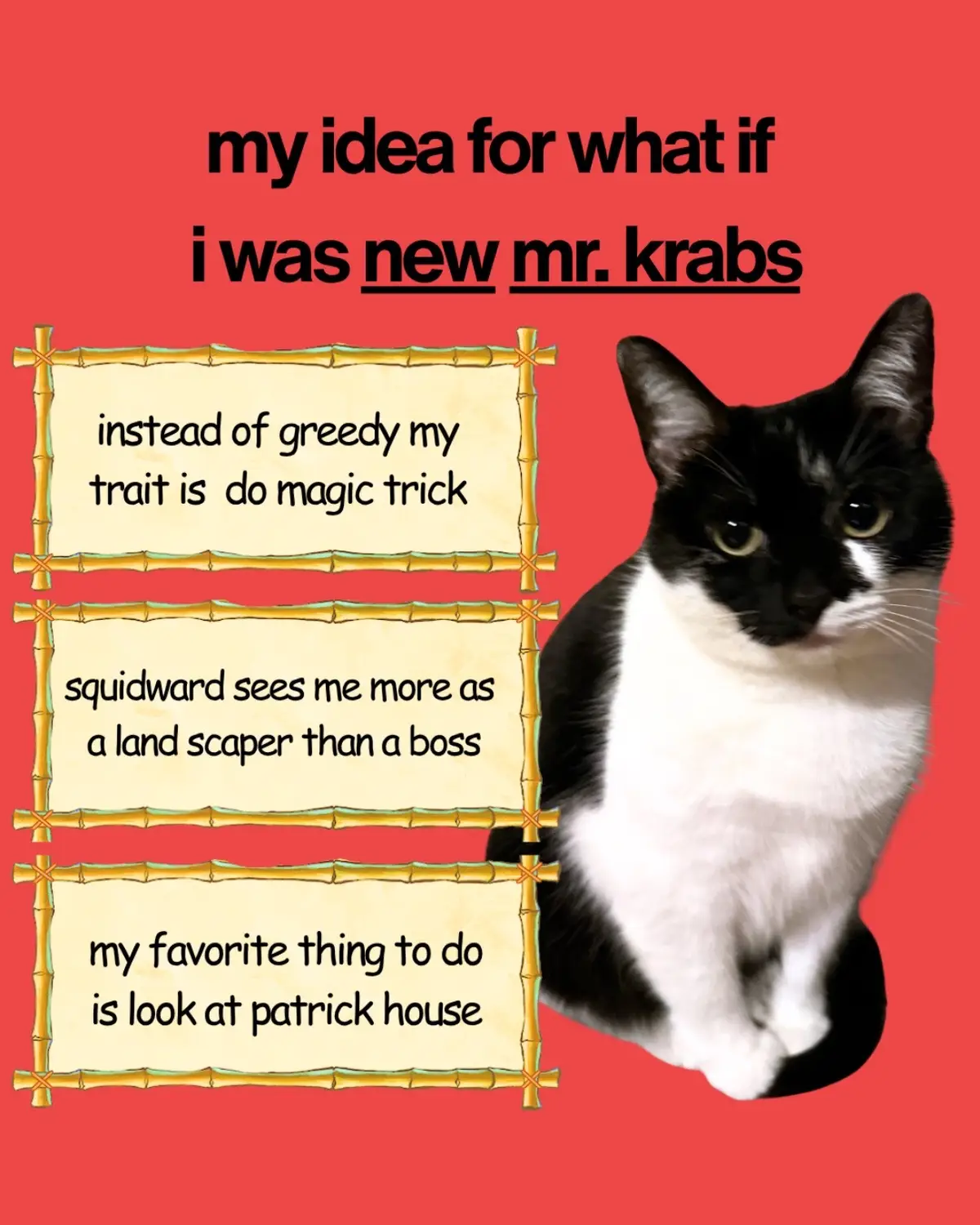 this is my new idea it is called what if i was new mr krabs. i think i would be better boss to sponge because i am not greedy and instead my trait is magic trick. in this idea plankton moved away so i dont get stressed out from it. i enjoy to look at patrick house but it distract me from thinking of idea for my magic trick which was going to be my favorite part of my idea. #sillycat #tuxedocat  #catlover #cutecats #funnycat #catsgram #meow #catoftheday #car #catlife #catsrule #dailycats #catscatscats #explorepage #foryou #spongebob #mrkrabs #squidward #patrick