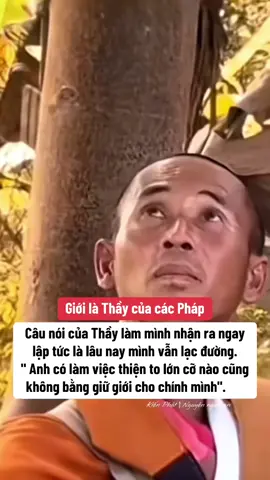 Kiến Phật || Biết ơn vì đã đến với con và mọi người đủ nhân duyên #thayminhtue #thichminhtue #kienphat #phatphapnhiemmau 