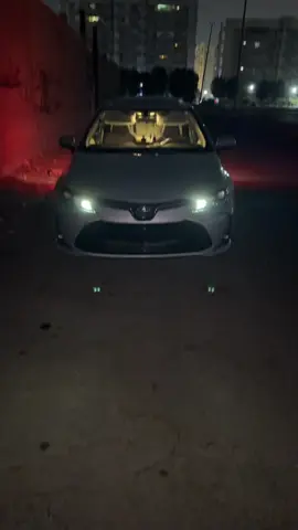 مابين الرمش والعين 🫩 #explore 