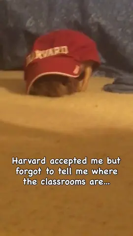 Yes, I got stuck in a baseball cap. It’s happened to the best of us. 🧢 - Coco