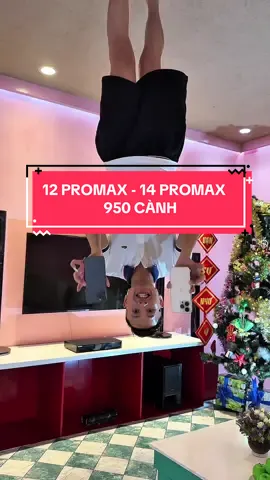 12 PROMAX - 14 PROMAX 950 CÀNH #anhuytin 
