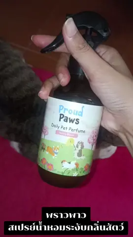 #พราวพาวน้ําหอมระงับกลิ่นสัตว์เลี้ยง #สเปรย์น้ำหอม #น้ำหอม #น้ำหอมสัตว์เลี้ยง #แมว @ฉันจะตั้งใจหาเงินเลี้ยงแมวนะคะ @ฉันจะตั้งใจหาเงินเลี้ยงแมวนะคะ @ฉันจะตั้งใจหาเงินเลี้ยงแมวนะคะ 
