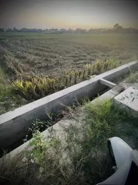时间真是个好东西，让我们把该看清的都看清了… 