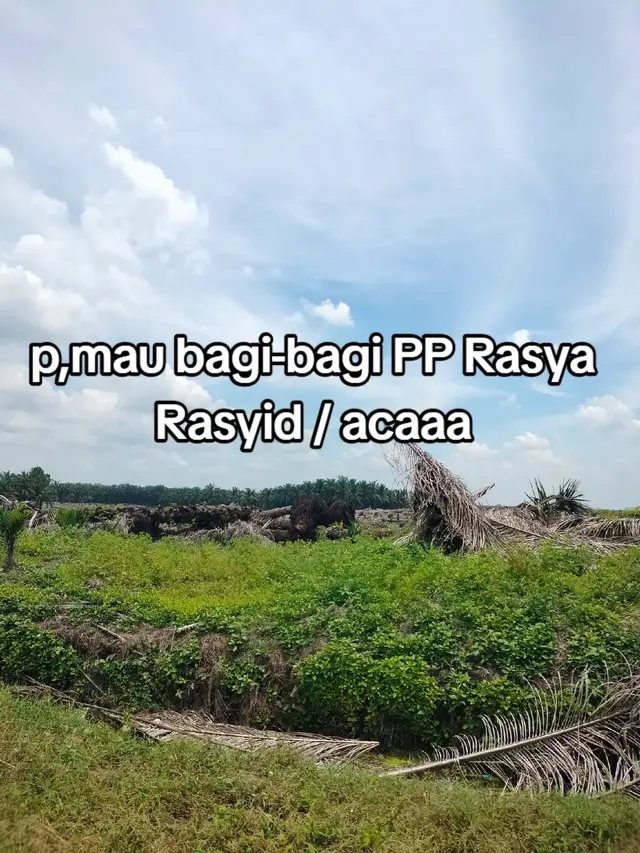 PP Rasya Rasyid niii sesuai request San @B, TAMBUNAN 04 done yaaaa #bagibagipp #rasyahrasyid  #menerimafbib✅ #lewatberanda #masukberanda 