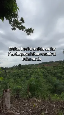#petanisawit🌴 #pemudasawitsukses 