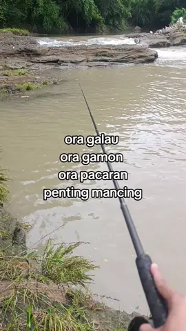 penak mancing #ayomancing #fypage #storymancing #masukberandafyp 