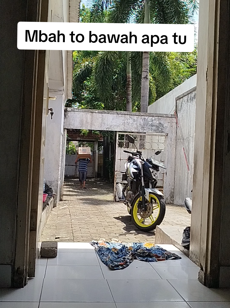 Mbah to bawa apa tu  wowww pempes Merries😍😍 hampir setiap bulan beli 1 karton isi 4ball @merries.indonesia   #pempes #merries #merriesgoodskin #modalkontendoang #merries4ball 