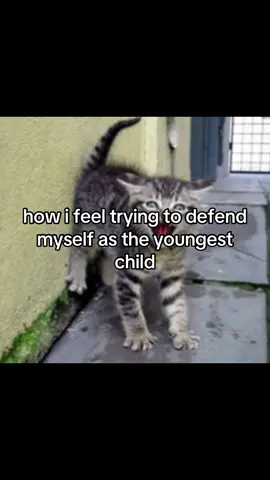 why can’t i just be older. i hate my life 🫩. #relatable #youngestchild #youngest #fyp 