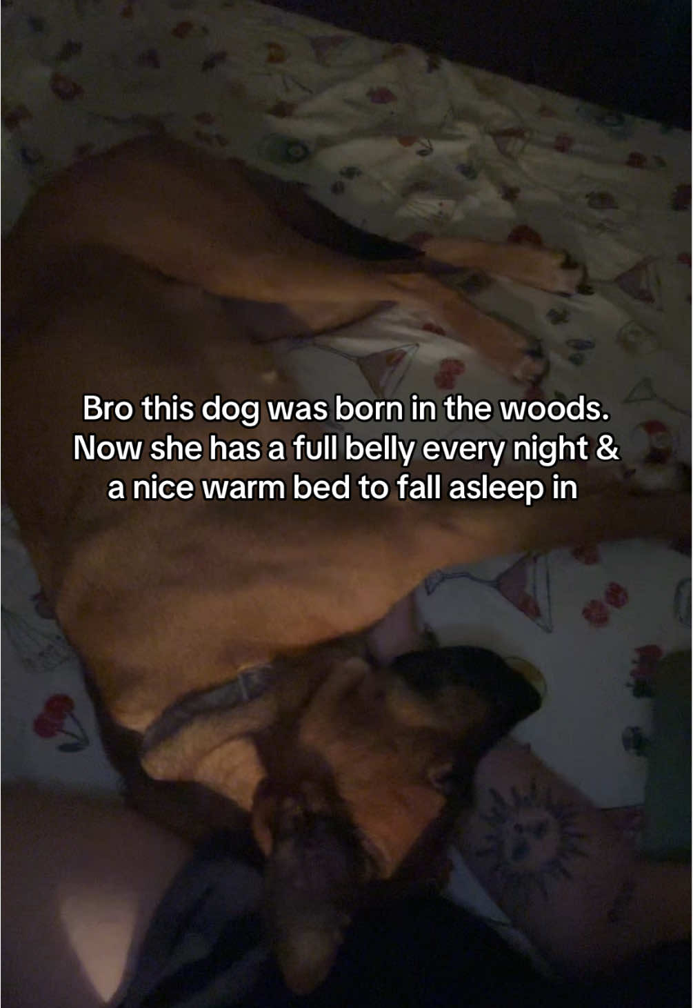 I don’t think there will ever be enough words to describe how much I love my dog 🥺 #fyp #foryou #puppy #adopt