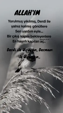 selamun aleyküm hayırlı sabahlar#keşfet #keşfet 
