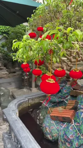 Quả cầu nhung treo Tết- lồng đèn nhung decor trang trí cây mai,cây đào,cây quất, trang trí nhà cửa #daytreotet #lientreotet #daytreotrangtritet #caunhungtreotet #quacaunhung 