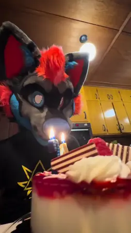 Happy 3rd birthday @Rayzor Wolf. #furry #fursuit #furriesoftiktok #furryfandom #fursuiter 