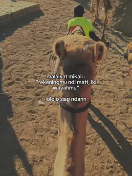Siap ndan monggo di tunggu #videoviral #kuotes #fyp 
