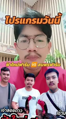 โปรแกรมวันนี้ #คณะไก่ชน #ฟ้าใหม่ฟาร์ม #เจ้าสอยดาว #สมพรฟาร์ม #เจ้ามรกต 
