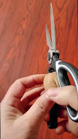 กดซื้อวันนี้เลยก่อนร้านปรับราคา #กรรไกรสแตนเลสทําอาหาร #กรรไกรทำครัว #กรรไกรเอนกประสงค์ กรรไกรทำอาหาร #กรรไกรตัดกระดูกไก่