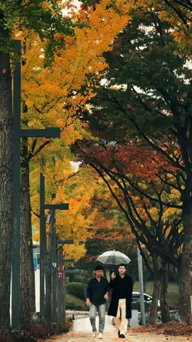 Mùa thu này không chỉ có lá vàng và trời lạnh, mà còn có những buổi cà phê ấm cùng bạn – giữa một thành phố xa lạ #hanquoc #xuhuong 