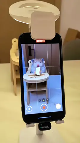 Phía sau hậu trường 🎥🎥🎥 #phukienhamster   #dochoihamster   #hamstervietnam   #hamstergiare   #shophamster 