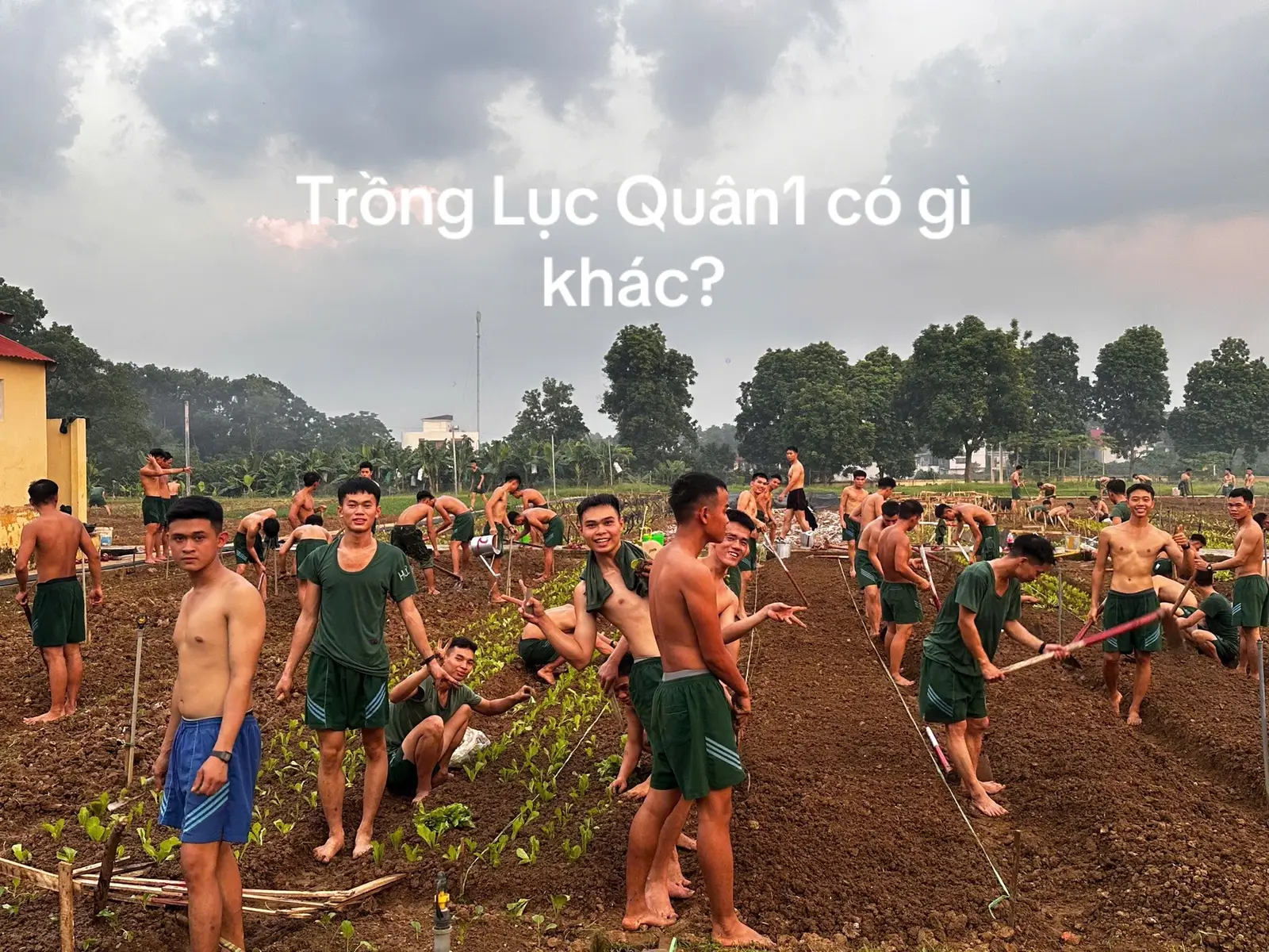 Thống nhất từ những cây rau✅