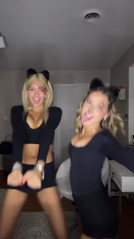 🐈‍⬛🐈‍⬛@Maya 