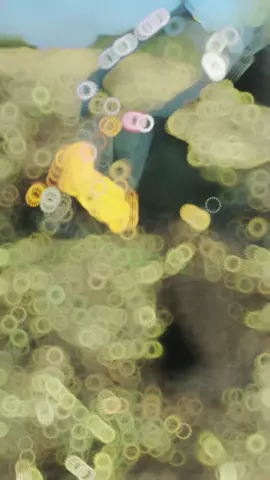 #fyp #tiktok #johndeere #viral 