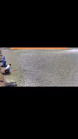 Tht hay giả vậy các cụ...###.                    #fishing #câu_đài #câucagiaitri 