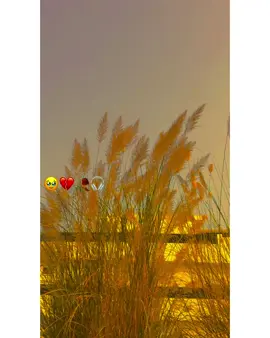 #faryoumypagefaryoumilon #faryoumypagefaryoumilon #faryoumypagefaryoumilon #faryoumypagefaryoumilon #faryoumypagefaryoumilon #faryoumypagefaryoumilon #faryoumypagefaryoumilon #faryoumypagefaryoumilon 