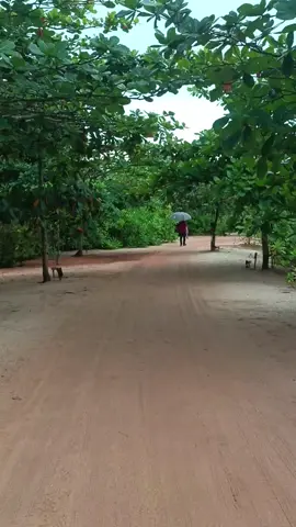 Kalau ke belitung wajib cobain menginap di resorts bintang lima satu pertama di pulau Belitung ini Resort dengan konsep alam akan membuat kita menyatu dengan alam sekitar yang indah alam sekeliling juga yang masih terjaga kelestariannya akan memberikan pengalaman baru dan berharga tentunya Datanglah berkunjung ke pulau Belitung #sheraton #sheratonbelitungresort #belitung #fyppppppppppppppppppppppp 