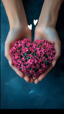 #صباح_الخير #صباح #الورد #صباحكم_سعادهـ🌸🍃 #اللهم_لك_الحمد_ولك_الشكر 