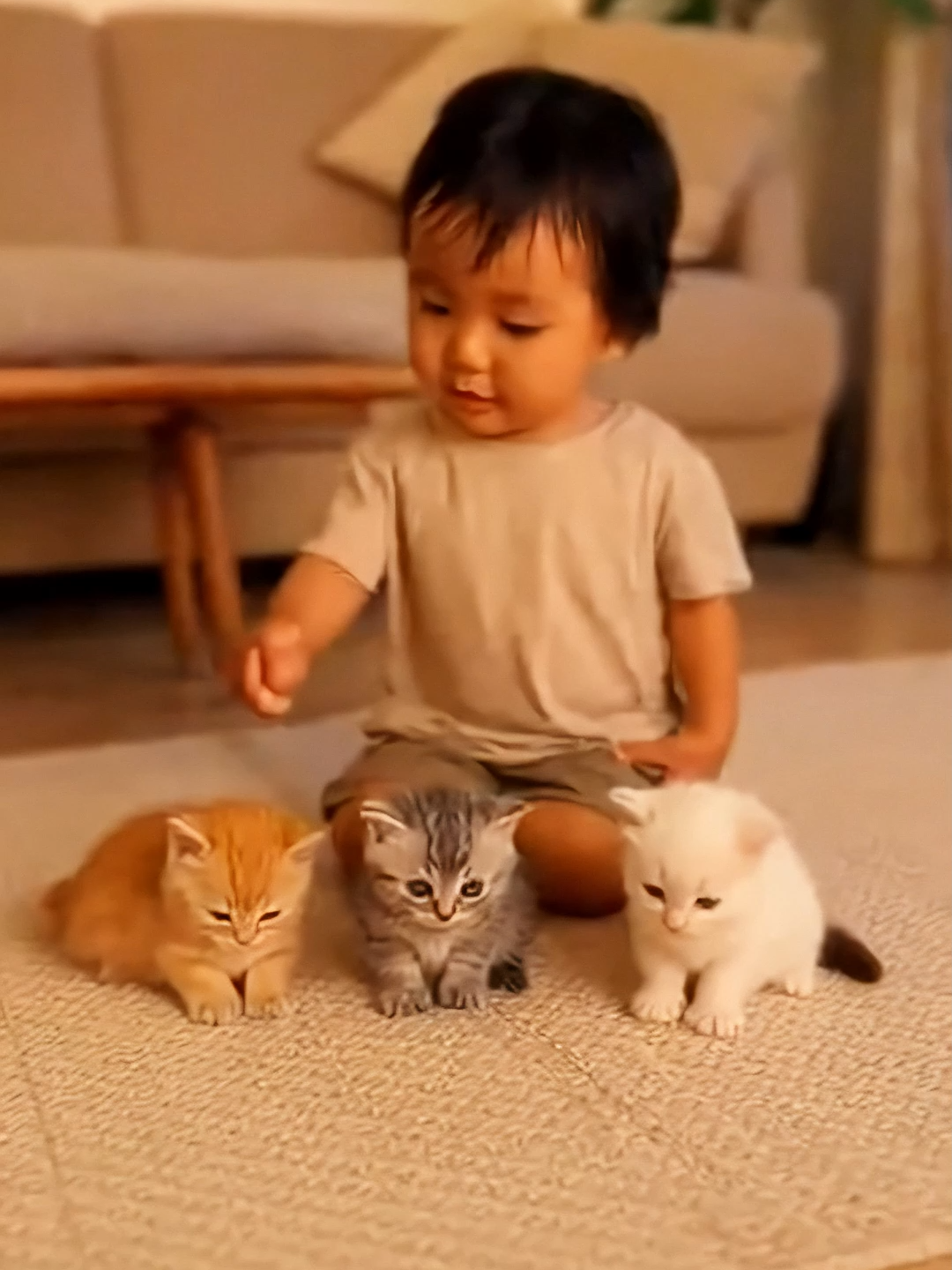 dada...dada.... #kucinglucu #kucingviral #kucingtiktok #trendingvideo #catsoftiktok #catstory #catlover