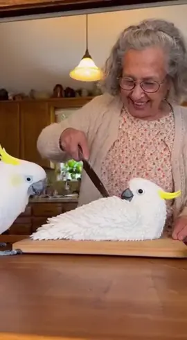 his reaction when he saw his grandmother cutting the cake #cockatoo #parrot #bird #fyp #viral 