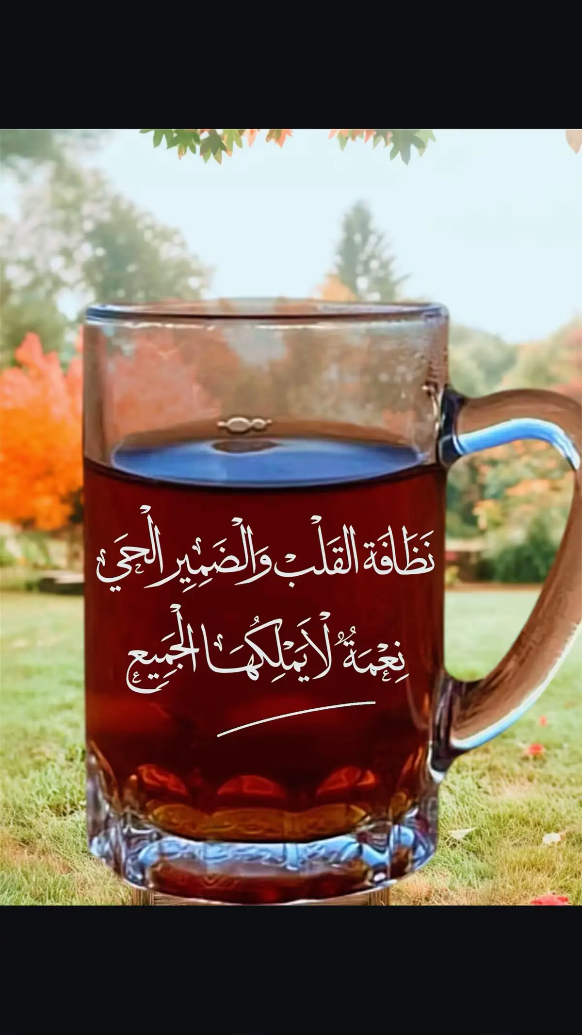 #في هذا اليوم 