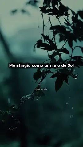 Beyoncé - Halo #Halo #beyonce #traducao #nostalgia #tipografia 