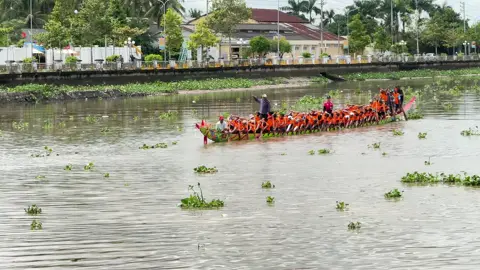 Kom Pong Trop sau khi chỉnh cần câu thử lần 2 #đuaghengosoctrang #oocomboksoctrang 