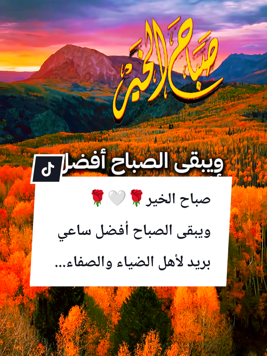 #souzan396 #صباح_الخير  صباح الخير 🤍🌹☕ويبقى الصباح أفضل ساعي بريد لأهل الضياء والصفاء...