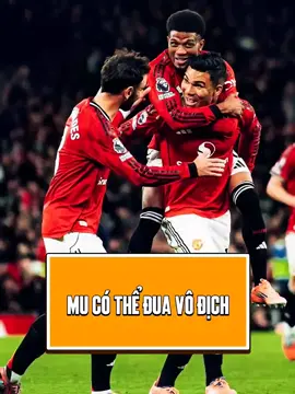 Mùa giải của MU giờ mới bắt đầu #dailyvsthethao #bongda #manchesterunited 