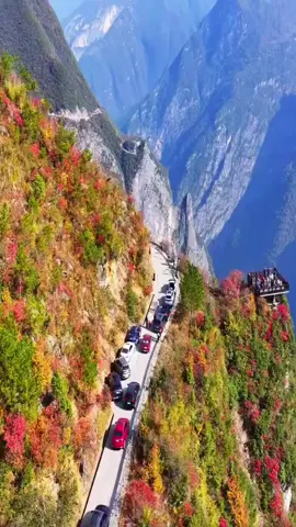 Cuối mùa thu lá vàng trên những ngọn núi  Báo hiệu một mùa đông giá lạnh sắp về  Cảnh đẹp hẻm núi Lan Anh Trùng Khánh 