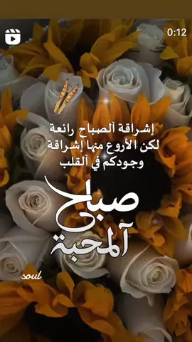 #صباحكم_أحلى_صباح🌹🌹 #صباحكم_سعادهـ🌸🍃 #صباحياتي🌸🎼 #4u #like  