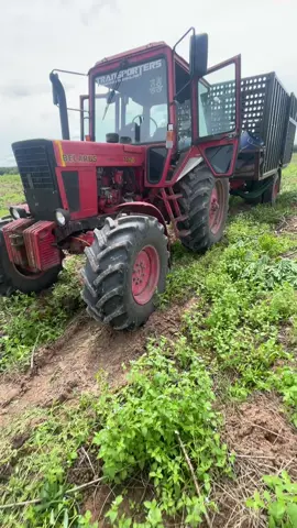 Y dị nhen mấy ní..#xuhuongtiktok #xuhuong #maycaytayninh #belarus1025turbo 