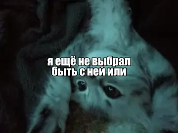 #5mewmet #djtrippieflameboy #рек #рекомендации #fyp 