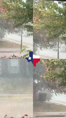 Texas rain!  #texas #rain #storm #thunder #peaceful 