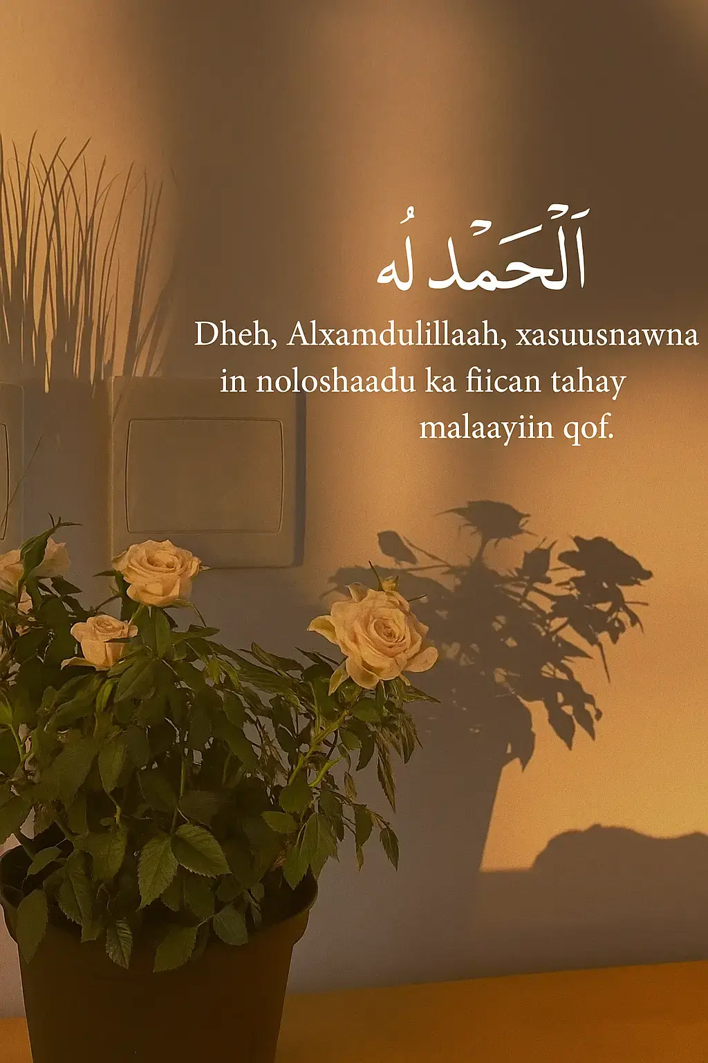 Mararka qaar noloshu waxay noqotaa mid buuq badan oo aan ku iloowno nicmada aan haysanno. Qoraalkan wuxuu inoo xasuusinayaa in aan joojino daqiiqad, neefsanno, oo nidhaahno “Alxamdulillaah”. Waa eray yar, balse leh awood weyn oo qalbiga dejisa, nafta farxad gelisa, una soo celisa aragtida wanaagsan ee nolosha. Markaad tiraahdo “Alxamdulillaah”, waxaad aqoonsanaysaa in inkasta oo ay jiraan caqabado iyo murugo, haddana ay jiraan nimcooyin badan oo aan mararka qaar indhaha ka laabanno. Xasuusnow, noloshaadu waxay ka wanaagsan tahay malaayiin qof oo aan haysan waxa adiga kuu fudud. Waxaa laga yaabaa inaad haysato caafimaad, hoy, qoys ama fursado ay kuwa kale ku riyoodaan. Sidaa darteed, ha sugin in wax weyn kugu dhacaan si aad u mahadnaqdo — maanta, hadda, mahadnaq. Mahadnaqu waa furaha barako, farxad, iyo xasilooni maskaxeed oo ku hagi karta nolol ka buuxda rajo iyo degenaansho.
