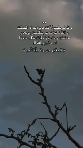 #سعود_الفايز #تلاوات #quran 