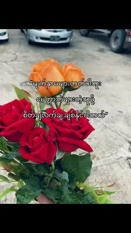 စိတ်ချလက်ချချစ်နိုင်ပါတယ်🫶🏻💕#fypシ゚ #foryou #fypage #foryoupage #viewတက်စမ်းကွာ👊 