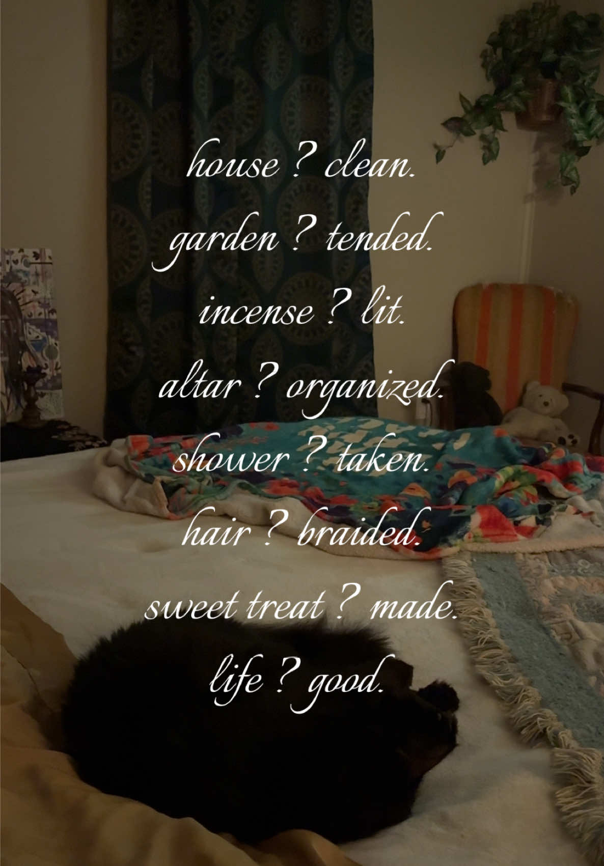 my tigers eye is charging under the moon on top of a pumpkin... fall is here. 🌙 