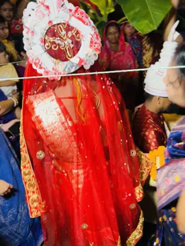 bower nach🌸💝🥰#ftypシ #foryou #foryourepage #bdtiktokofficial🇧🇩 