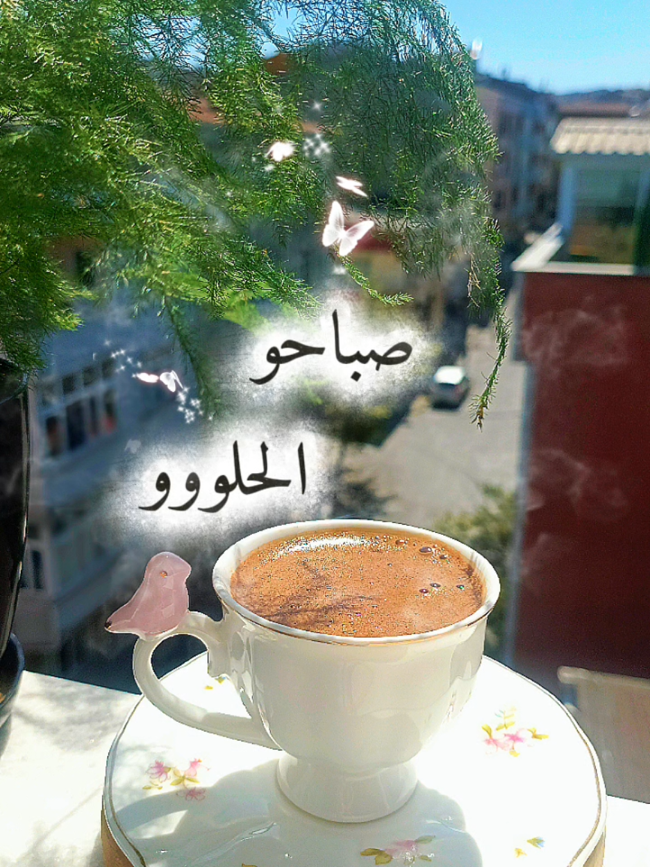 #ياصباح_الخير #اكسبلور @قطر الندى 🦋 